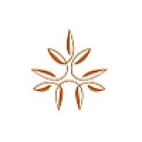 Rushleigh Consulting Ltd