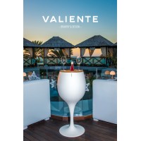 Valiente Bravery & Design logo - Similar company to Zweva Engineering