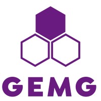 Global Evolution and Management Group logo - Similar company to Al Kholi Group