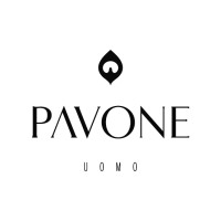 PAVONE logo - Similar company to Falcon Trading