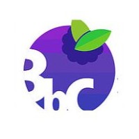 Blueberry Consulting logo - Similar company to Finnimo Llc