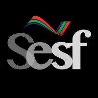 The Sports Excellence Scholarship Fund logo - Similar company to Younify Active