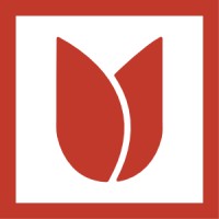 Red Tulip - Web Design And Consulting Services