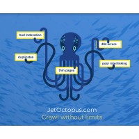 Jet Octopus Website Crawler logo - Similar company to Cyber Data-Risk Managers