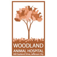 Woodland Animal Hospital In Jefferson City
