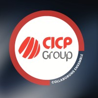 La Chambre Internationale pour le Conseil et la Promotion logo - Similar company to Nova Conseil