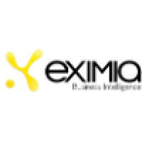 Eximia Business Intelligence logo - Similar company to Droppx
