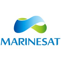 MarineSat logo - Similar company to Bti Wireless
