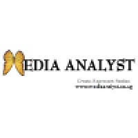 The Media Analyst