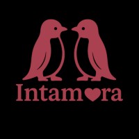 Intamora logo - Similar company to Acumium
