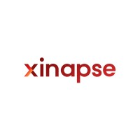 자이냅스 Xinapse logo - Similar company to Synthya