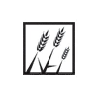New Harvest Media Inc.