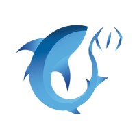 SHARKCODE logo - Similar company to Sharkscode
