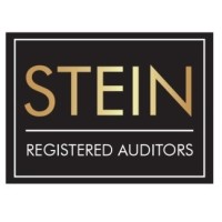 Stein Registered Auditors logo - Similar company to Numeriq Chartered Accountants (Sa)
