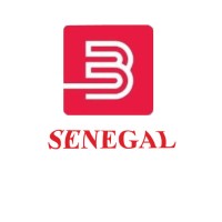 Bestsuppliers.SENEGAL logo - Similar company to Ads Access Distribution Services
