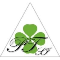 Petris Industrial Services SRL logo - Similar company to Pro Alloy B.V.