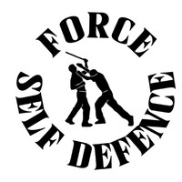 FORCE & LEISURE LIMITED logo - Similar company to Connectsu Ltd