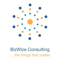Bizwize Consulting (Pty) Ltd