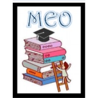 Mitra Enrichment Organization
