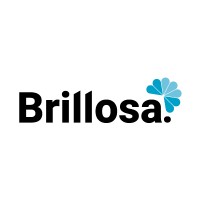Brillosa Limpiezas logo - Similar company to Insectos Med