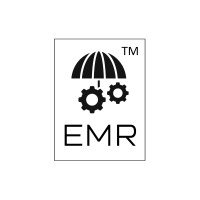 EaseMyRisk Advisors logo - Similar company to Binnovator Pte. Ltd