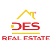DES Real Estate logo - Similar company to Spaceairmasters 🇧🇫🚀