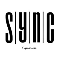 Sync Synergy Private Limited logo - Similar company to Kyra Exim Pte Ltd