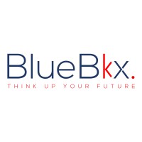 BlueBox Consulting Group logo - Similar company to Bluebox Solutions