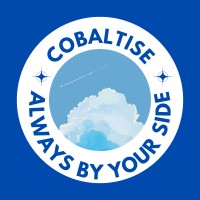 Cobaltise logo - Similar company to Work 4Rest