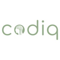 CODIQ logo - Similar company to Codiq