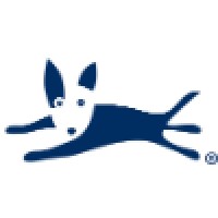 Bluedog