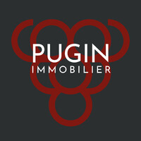 Pugin immobilier logo - Similar company to Allvantage