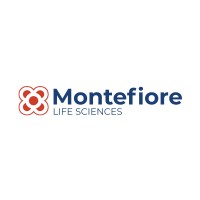 Montefiore Life Sciences logo - Similar company to Shandong Focusfreda Biotech Co.,Ltd