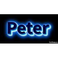 Peter-StaffingLTA.com logo - Similar company to Nicholasstaffinglta.Com