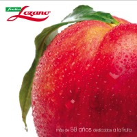 Frutas Lozano logo - Similar company to Frutas Ponti S.L.