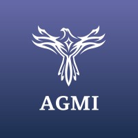 AGMI Group logo - Similar company to Intelligine Technologies