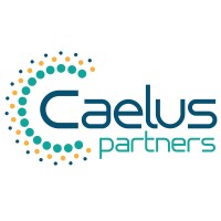 Caelus Partners, LLC logo - Similar company to Community In Space Llc