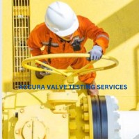 Accura Valve Testing Services - UAE logo - Similar company to Technics, Inc.