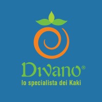 Divano S.r.l. Lo specialista dei kaki logo - Similar company to Mavi