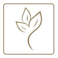 Zeyna USA logo - Similar company to Zeyna Studio