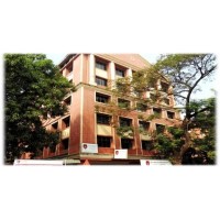 D Y PATIL DEEMED TO BE UNIVERSITY, SCHOOL OF MANAGEMENT logo - Similar company to Gamma - It & Analytics Forum Of Iim Mumbai