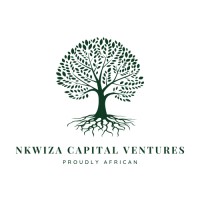 Nkwiza Capital Ventures logo - Similar company to Spark&Spur