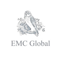 EMC Global logo - Similar company to Emc