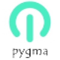 Pygma A.S. logo - Similar company to Zırva