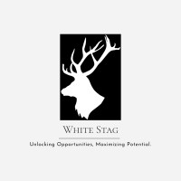 White Stag Consulting LLC logo - Similar company to Abc