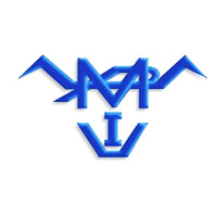 MANUFACTURAS PUEBLO VIEJO INDUSTRIAL SA DE CV logo - Similar company to Lionsceller
