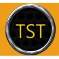 Thorbole Simulation Technologies LLC logo - Similar company to Mornsan Technologies Pvt. Ltd.