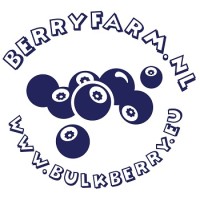 Bulk Berry logo - Similar company to Mode Berry