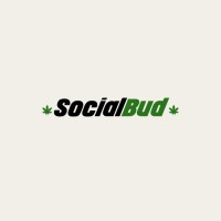 SocialBud logo - Similar company to Dabber