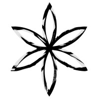 Palindrome Design logo - Similar company to Raining Brand & Design